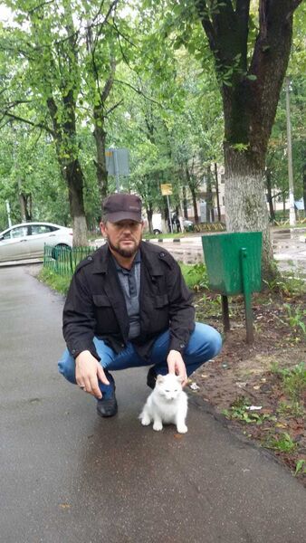  ,   , 55 ,  