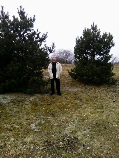  ,   GENRIH, 61 ,   