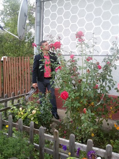  ,   , 44 ,     , c 