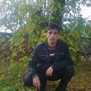  8509799  89525455989, 40 ,    