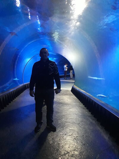  ,   PaveL, 31 ,   ,   , c 