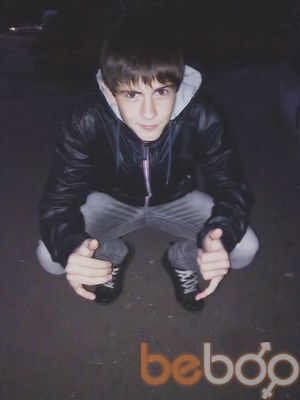  ,   Krava, 31 ,   