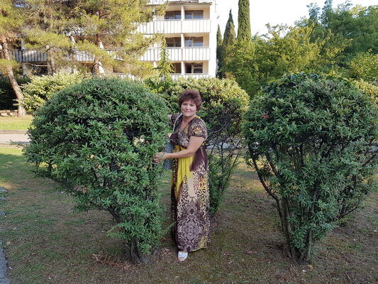  ,   , 56 ,   c , 