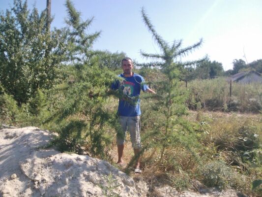  ,   , 48 ,   ,   , c 