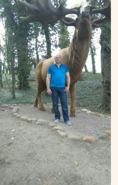   ,   , 55 ,   ,   , c , 