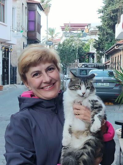  ,   , 53 ,   ,   , c 