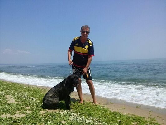  ,   Rumen, 68 ,   ,   