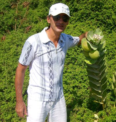  ,   , 63 ,   