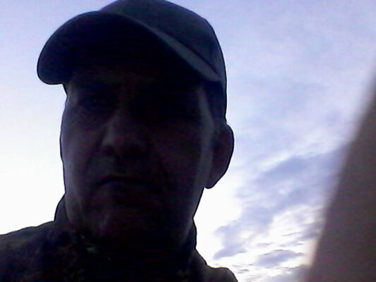 -,   Kot123, 65 ,   