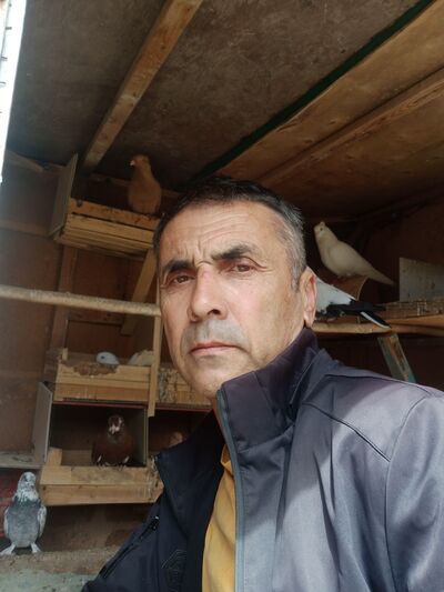  ,   , 58 ,   ,   