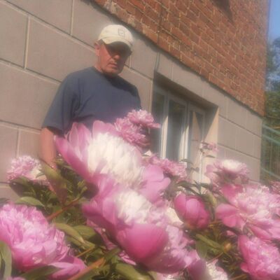  ,   , 55 ,   ,   