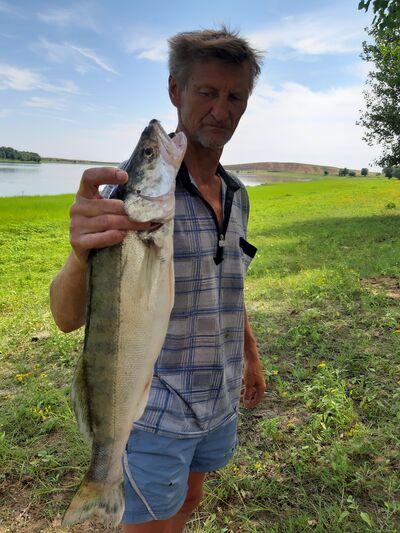  ,   , 59 ,   ,   