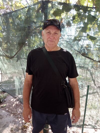 ,   Valntin, 70 ,   ,   
