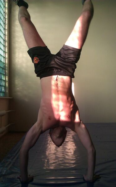  ,   SdSational, 34 ,   