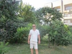  6461819  , 61 ,    -