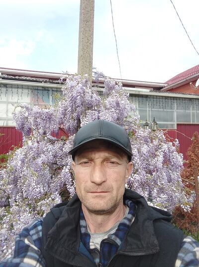  ,   , 51 ,   ,   , 