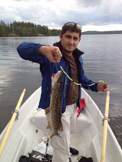  ,   Dima, 43 ,   ,   
