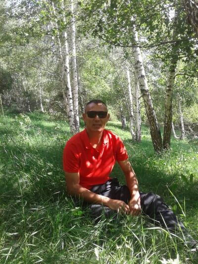  ,   Volk, 43 ,  