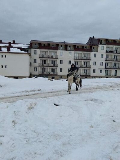  ,   Vaska, 43 ,   ,   