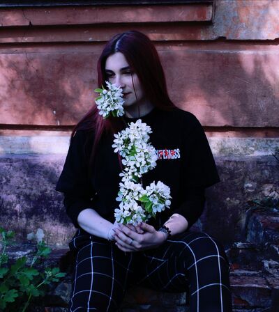  ,   , 24 ,  