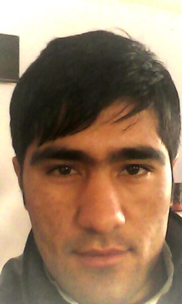  ,   Camol, 33 ,   