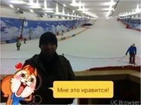  9543309  , 50 ,     