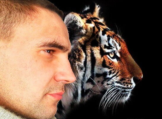  ,   Artemchik, 42 ,   ,   , c 