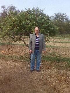  ,   Kynnilinger, 58 ,   ,   , c 