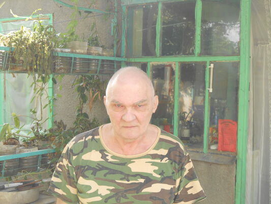  ,   , 67 ,   ,   