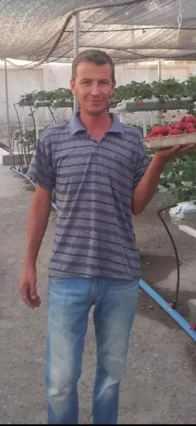  ,   , 54 ,   ,   , 
