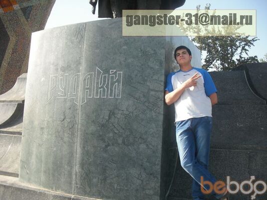  ,   Gangster31, 33 ,  