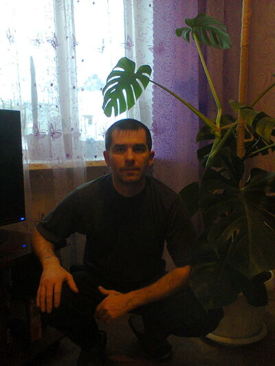  ,   , 46 ,   
