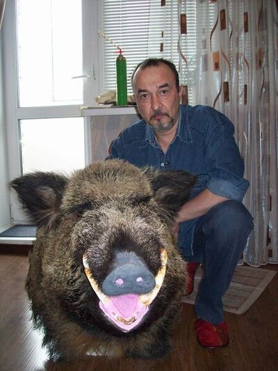  ,   , 56 ,   ,   