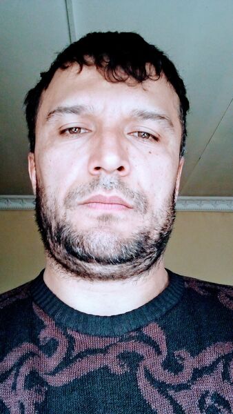  -,   , 43 ,   ,   