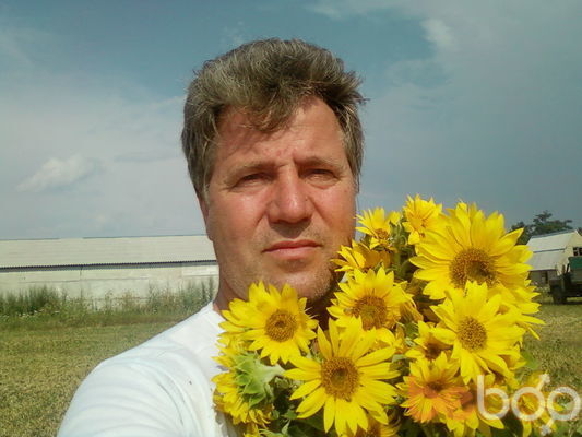  ,   , 66 ,   