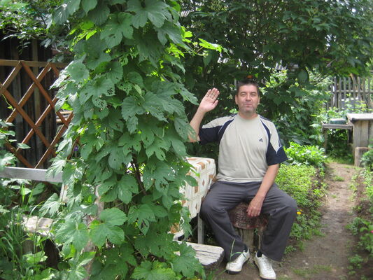  ,   , 60 ,   ,   , c 