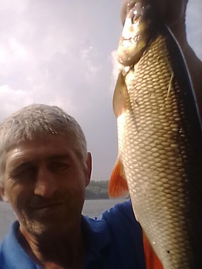  ,   , 51 ,   c 