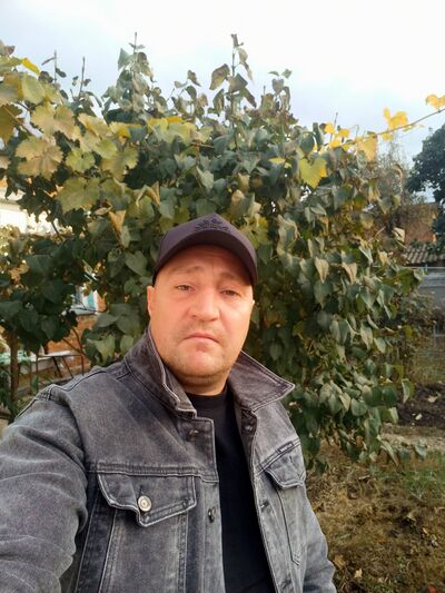  ,   , 44 ,  