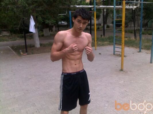  ,   TIMUR, 33 ,   ,   , c 