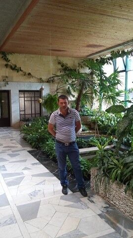  ,   , 46 ,   