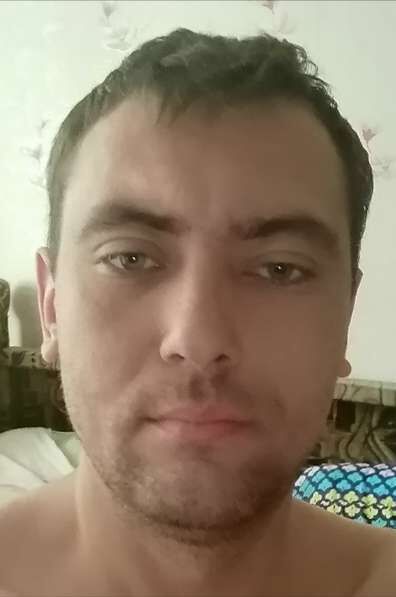  23686839  , 38 ,     
