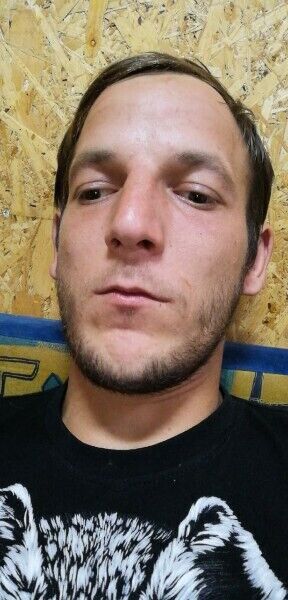 ���������� ������, ���� ������� ϸ��, 32 ����, ������������ ��� ����� � ���������, c�������� ���������