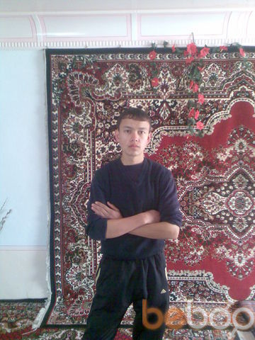  ,   WWWMMM, 33 ,   ,   , c 