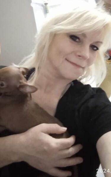  ,   , 48 ,   ,   