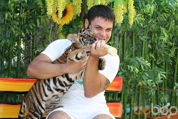  ,   ARMEN, 43 ,     , c 