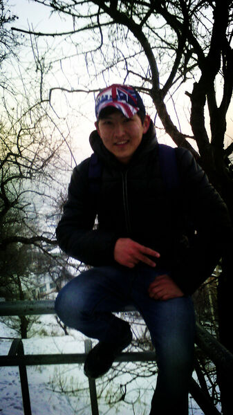  ,   Rys9, 31 ,   , 