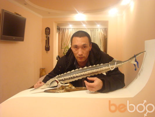  ,   , 51 ,   