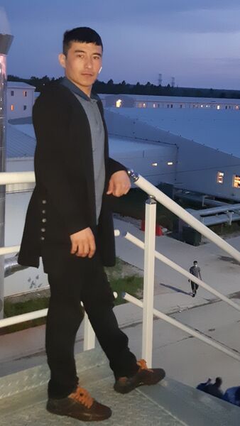  ,   , 33 ,  