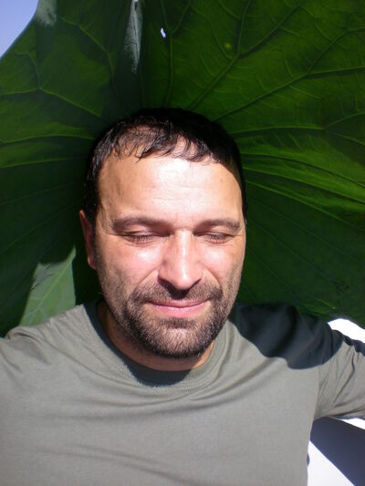  ,   , 49 ,  
