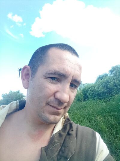  ,   , 41 ,   